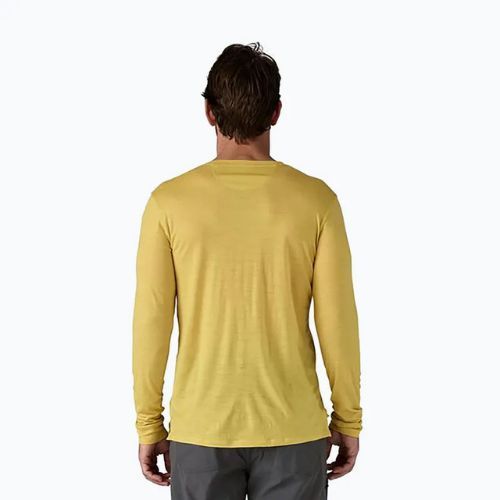 Longsleeve męski Patagonia Cap Cool Merino Blend Graphic fitz roy strata/bundle green