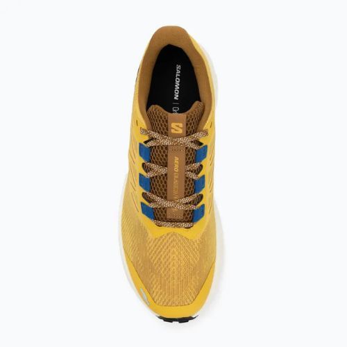 Buty do biegania męskie Salomon Aero Blaze 3 GRVL spicy mustard/vanilla ice/nautical blue