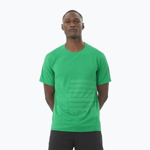 Koszulka do biegania męska Salomon Sense Aero Tee GFX parakeet/spearmintme