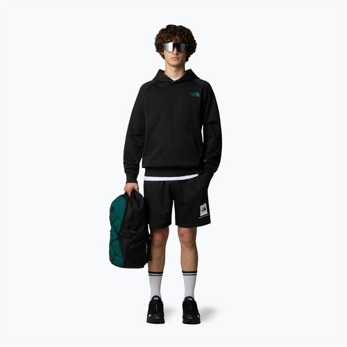 Spodenki trekkingowe męskie The North Face Box Nse Regular tnf black/tnf white