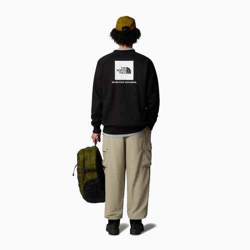 Bluza męska The North Face Raglan Box Nse Crew tnf black