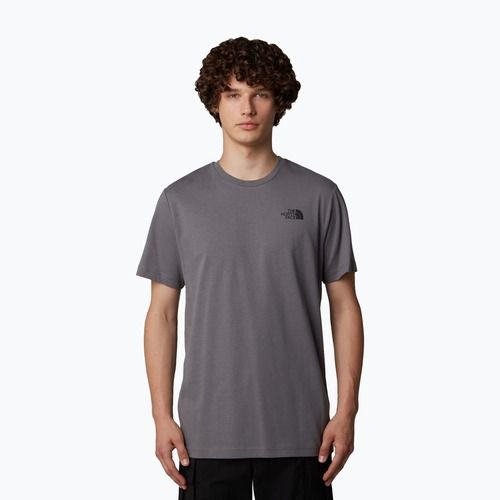 Koszulka męska The North Face Redbox Celebration smoked pearl
