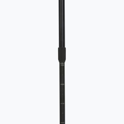 Kije nordic walking Fizan Smu Active black