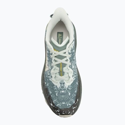 Buty do biegania męskie HOKA Speedgoat 6 GTX sea flass/fern