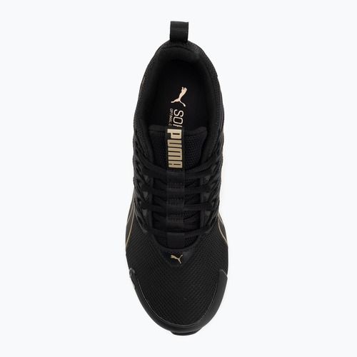 Buty damskie PUMA Voltaic Evo puma black/puma gold