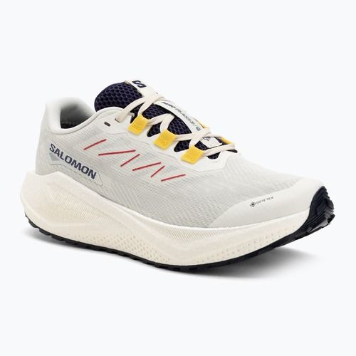 Buty do biegania męskie Salomon Aero Blaze 3 Gravel GTX vanilla ice/astral aura/lemon