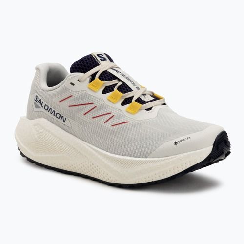 Buty do biegania damskie Salomon Aero Blaze 3 Gravel GTX vanilla ice/astral aura/lemon