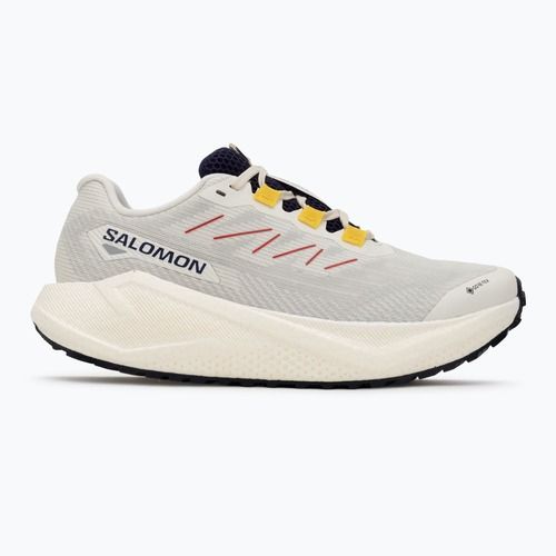 Buty do biegania damskie Salomon Aero Blaze 3 Gravel GTX vanilla ice/astral aura/lemon