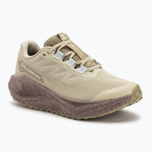 Buty do biegania damskie Salomon Aero Blaze 3 Gravel GTX green haze/iron/ice flow