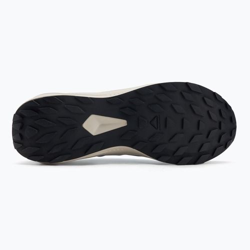 Buty do biegania męskie Salomon Alphaglide GTX blue night/lunar rock/french blue