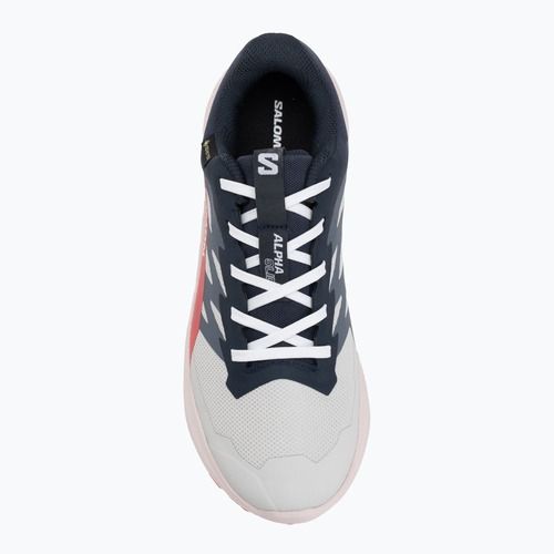 Buty do biegania damskie Salomon Alphaglide GTX lunar rock/blue night/rouge red