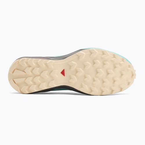 Buty do biegania damskie Salomon Speedcross Peak icicle/castlerock/aruba blue