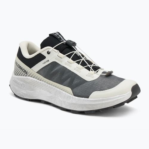 Buty do biegania męskie Salomon Vision vanilla ice/lunar/rock/black