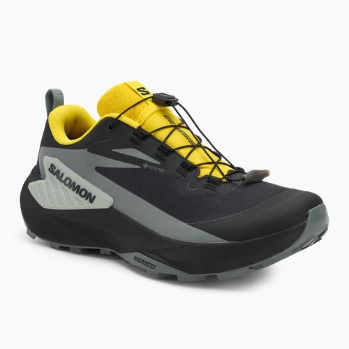 Buty do biegania męskie Salomon Genesis GTX black/sedona sage/incaberry