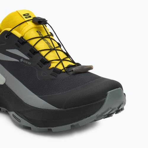 Buty do biegania męskie Salomon Genesis GTX black/sedona sage/incaberry