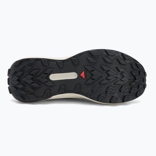 Buty do biegania męskie Salomon Genesis GTX black/lunar rock/french blue