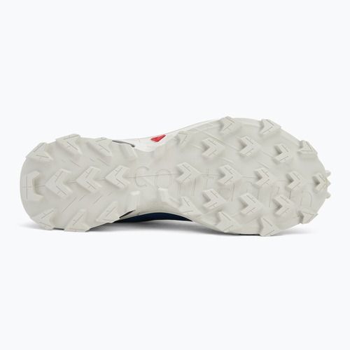 Buty do biegania męskie Salomon Supercross 4 GTX poseidon/black/lunar rock