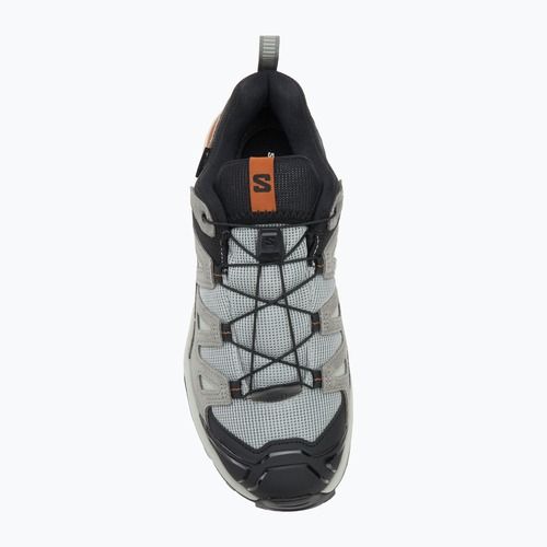 Buty trekkingowe męskie Salomon X Ultra 360 Leather GTX wrought iron/sedona sage/sierra