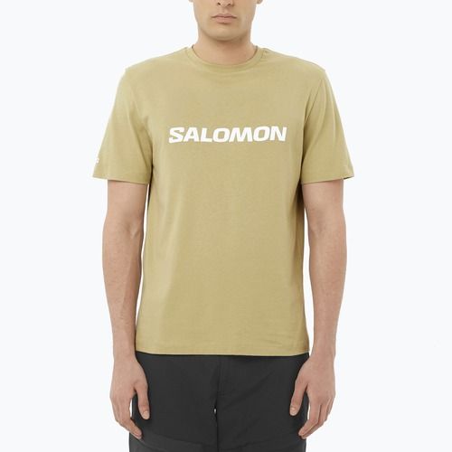 Koszulka męska Salomon Logo gray green