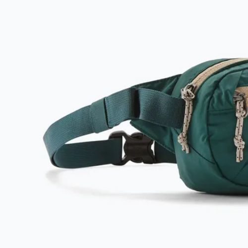 Saszetka nerka Patagonia Terravia Mini Hip cascade green
