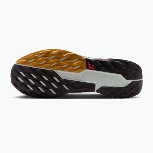 Buty do biegania męskie Nike Pegasus Trail 5 GORE-TEX fir/bright crimson/clay green