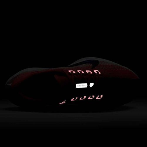 Buty do biegania damskie Nike Pegasus Plus bright crimson/deep royal blue/silt red