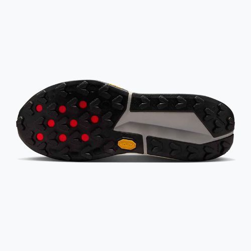Buty do biegania męskie Nike Zegama 2 fir/desert ochre/college grey/sail