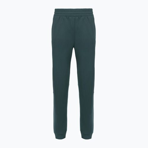 Spodnie damskie The North Face Mountain Athletics Fleece deep cypress/space