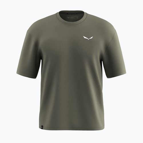 Koszulka męska Salewa Eagle Glacier Loose faded green
