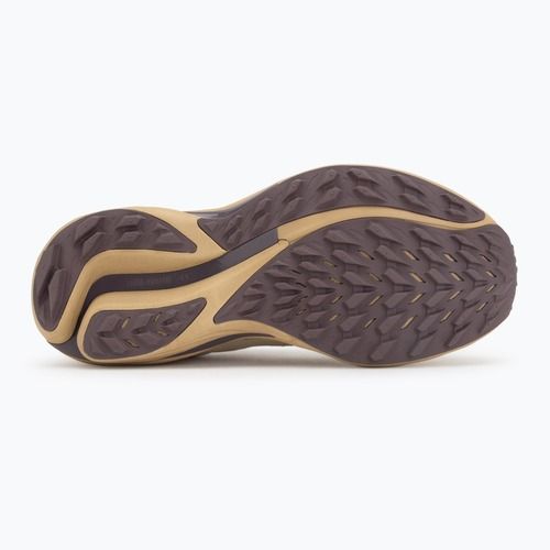 Buty do biegania damskie Mizuno Wave Rider TT 3 curds&whey/summer sand/moonscape