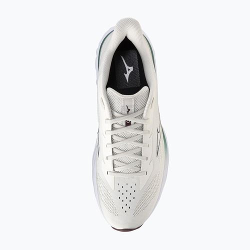 Buty do biegania męskie Mizuno Wave Skyrise 7 snow white/north sea/summer sand