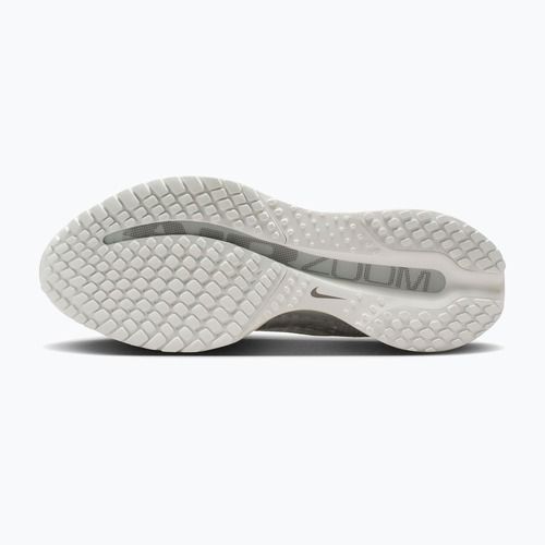 Buty do biegania damskie Nike Pegasus Premium ESS summit white/pure platinum/white