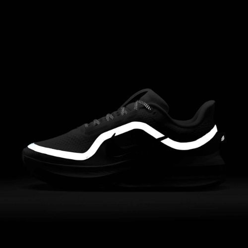 Buty do biegania damskie Nike Pegasus Premium white/metallic silver/metallic silver