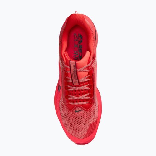 Buty do biegania męskie Nike Pegasus Premium light crimson/bright crimson/black/team red