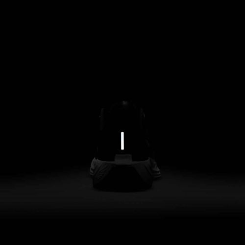 Buty do biegania męskie Nike Pegasus Plus black/anthracite/white/pure platinum