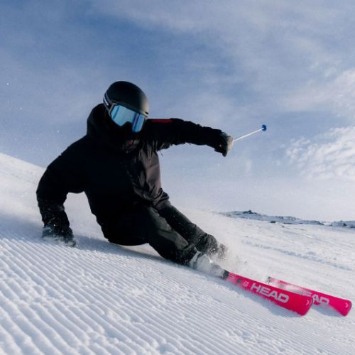 Narty zjazdowe HEAD WC Rebels e-Race Pro RP WCR 14 + wiązania Freeflex 14 GW 75 Years pink