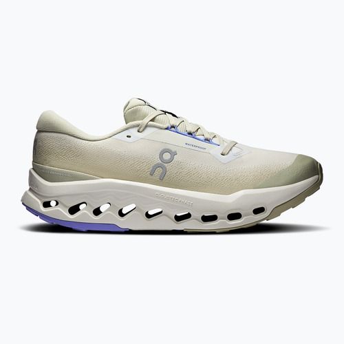 Buty do biegania męskie On Cloudsurfer Trail 2 Waterproof ghost/chalk