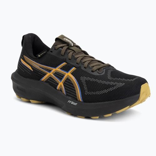 Buty do biegania męskie ASICS GT-1000 14 GTX black/dark cobalt