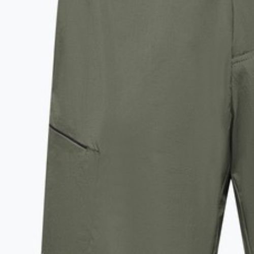 Spodenki trekkingowe męskie Salewa Pedroc 4 DST Cargo faded green