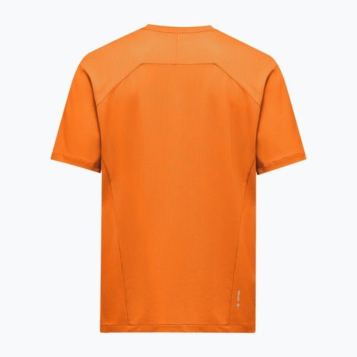 Koszulka męska Salewa Pedroc Dry Light turmeric