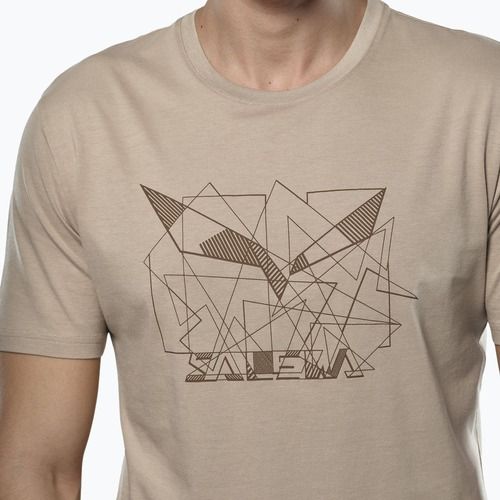 Koszulka męska Salewa Eagle Geometric quicksand