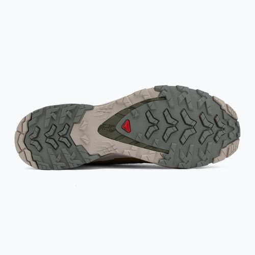 Buty do bieganie męskie Salomon XA Pro 3D V9 sedona sage/plantation/paloma