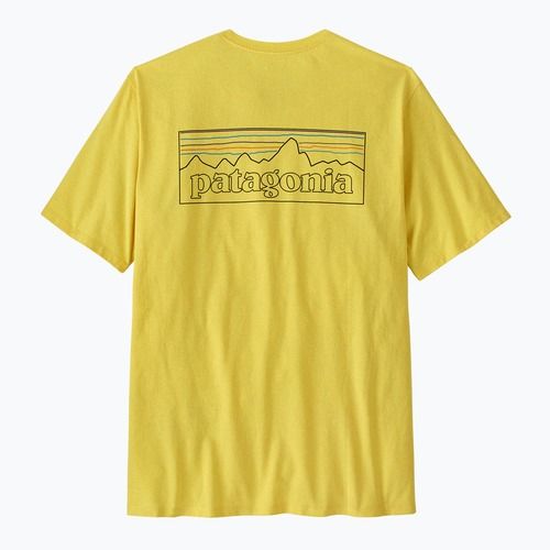 Koszulka męska Patagonia P-6 Logo Responsibili-Tee p-6 outline/lemon zest
