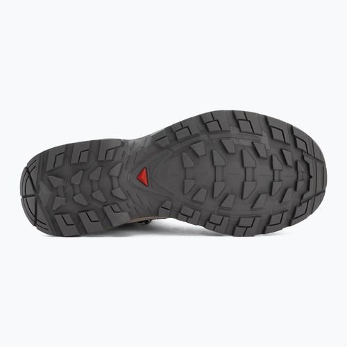 Buty trekkingowe damskie Salomon Quest Echo GTX gull/paloma/bog