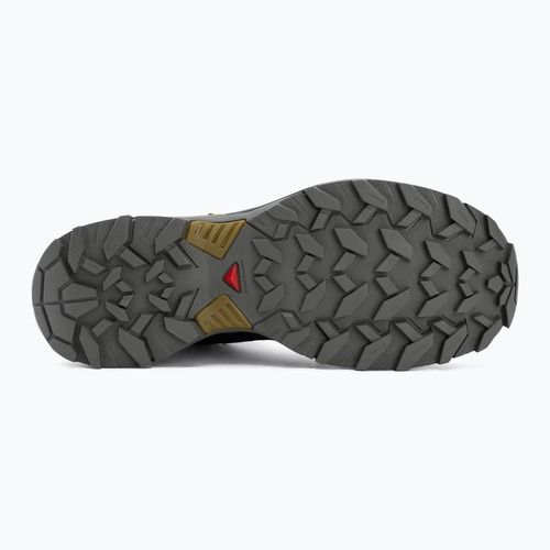 Buty trekkingowe męskie Salomon X Ultra 360 MID GTX urban chic/black