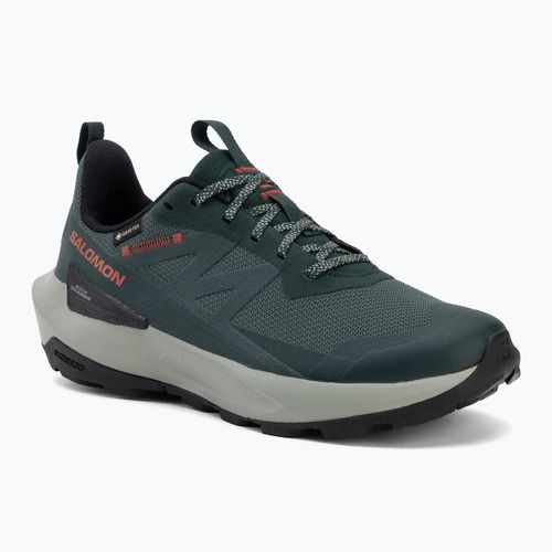 Buty turystyczne męskie Salomon Elixir Activ GTX scarab/green gable