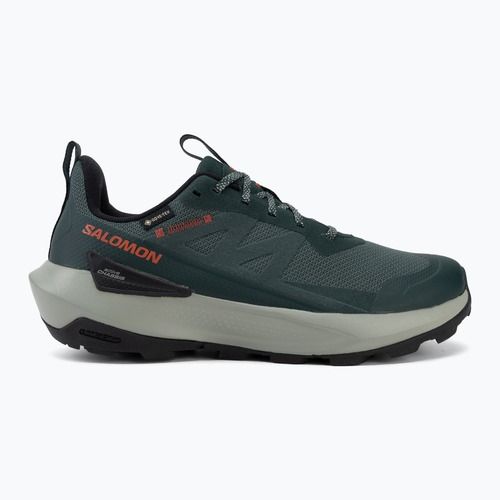 Buty turystyczne męskie Salomon Elixir Activ GTX scarab/green gable