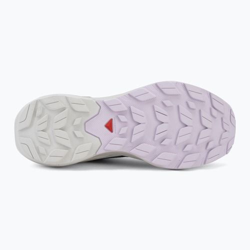Buty turystyczne damskie Salomon Elixir Activ GTX shskin/glacier gray/opetal