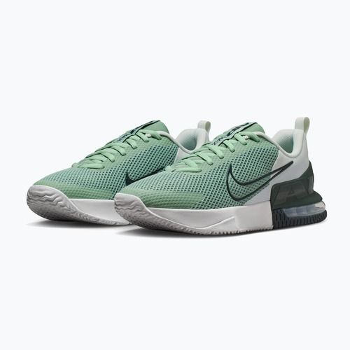 Buty treningowe męskie Nike Air Max Alpha Trainer 6 steam/spruce aura/off white/black spruce