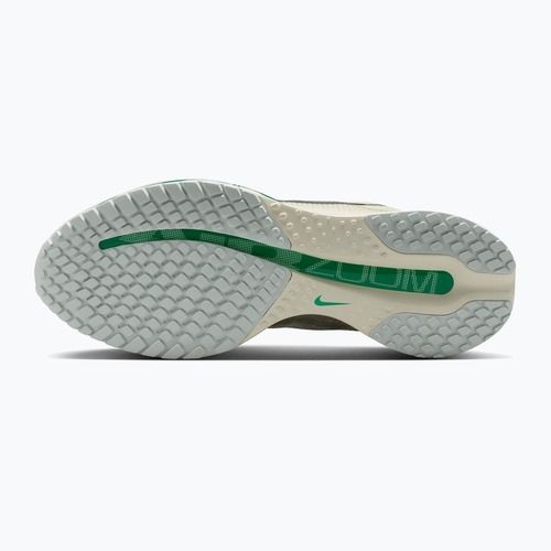 Buty do biegania damskie Nike Pegasus Premium sea glass/malachite/metallic silver